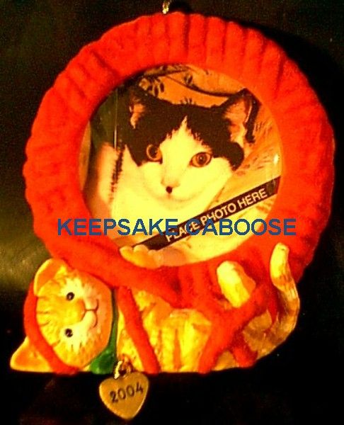 2004 Special Cat