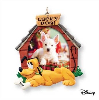2007 Lucky Dog