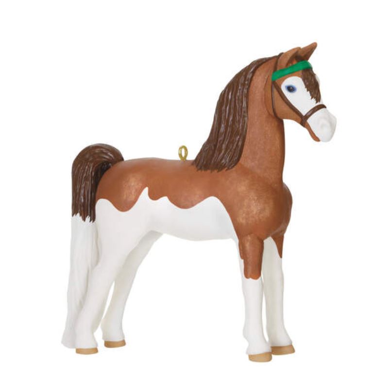 2024 Morgan Horse Dream Horse