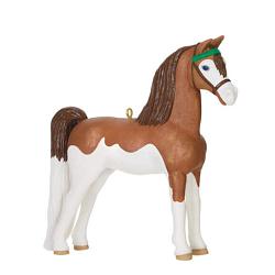 2024 Morgan Horse Dream Horse